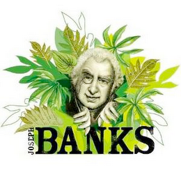 JOSEPH BANKS logo