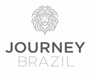 JOURNEY BRAZIL logo
