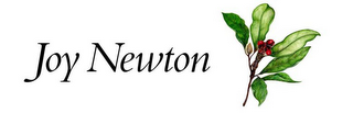JOY NEWTON logo