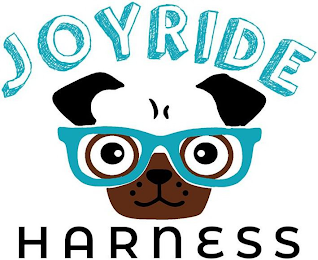 JOYRIDE HARNESS logo