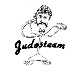 JUDOSTEAM logo