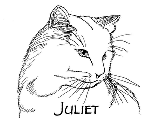 JULIET logo