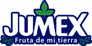 JUMEX FRUTA DE MI TIERRA logo