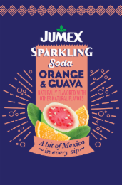 JUMEX SPARKLING SODA ORANGE & GUAVA NATURALLY FLAVORED WITH OTHER NATURAL FLAVORS A BIT OF MEXICO ~IN EVERY SIP~ logo