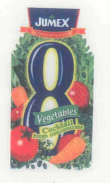 JUMEX WORLDWIDE EXCELLENCE IN QUALITY 8VEGETABLES COCKTAIL FROM CONCENTRATE logo