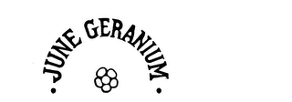JUNE GERANIUM logo