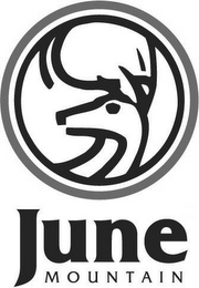 JUNE MOUNTAIN logo