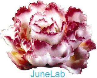 JUNELAB logo