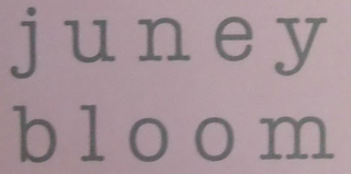 JUNEY BLOOM logo