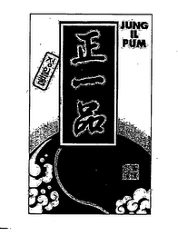JUNG IL PUM logo