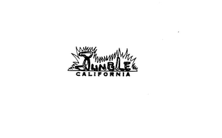 JUNGLE CALIFORNIA logo