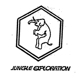JUNGLE EXPLORATION logo