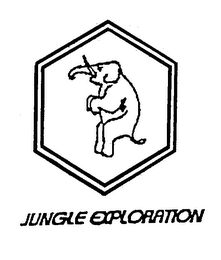 JUNGLE EXPLORATION logo