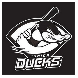 JUNIOR DUCKS logo
