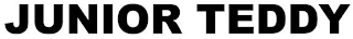 JUNIOR TEDDY logo