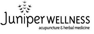 JUNIPER WELLNESS ACUPUNCTURE & HERBAL MEDICINE logo