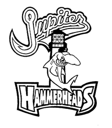JUPITER HAMMERHEADS logo
