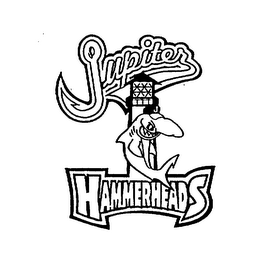 JUPITER HAMMERHEADS logo
