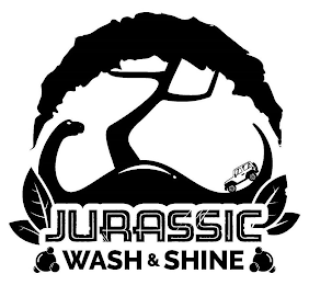 JURASSIC WASH & SHINE logo