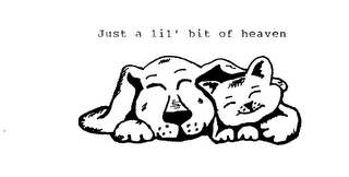 JUST A LIL' BIT OF HEAVEN logo