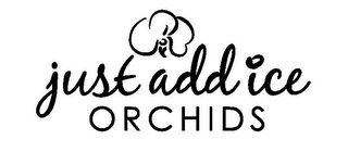 JUST ADD ICE ORCHIDS logo