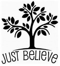 JUST BELIEVE logo