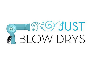 JUST BLOW DRYS logo