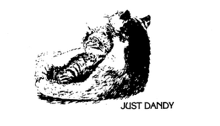 JUST DANDY logo