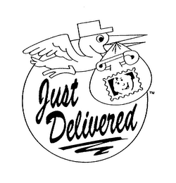 JUST DELIVERED logo