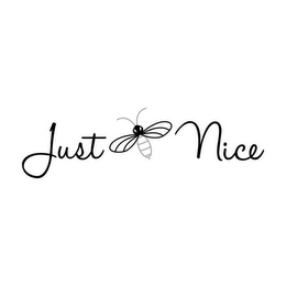 JUST NICE logo