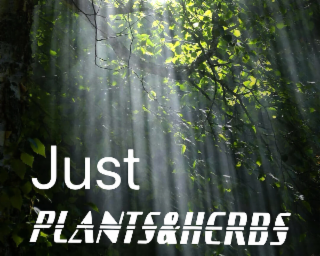 JUST PLANTS&HERBS logo