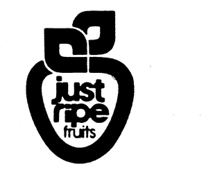 JUST RIPE FRUITS logo