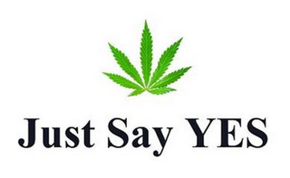JUST SAY YES logo