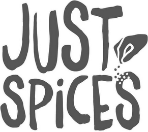JUST SPICES logo