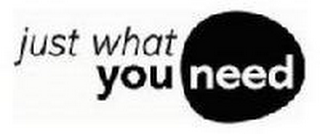JUST WHAT YOU NEED logo