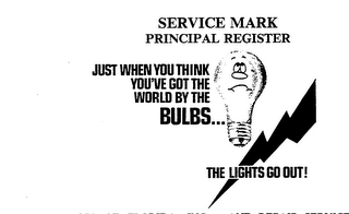 JUST WHEN YOU THINK YOU'VE GOT THE WORLD BY THE BULBS...THE LIGHTS GO OUT! logo