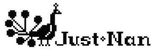 JUST+NAN logo