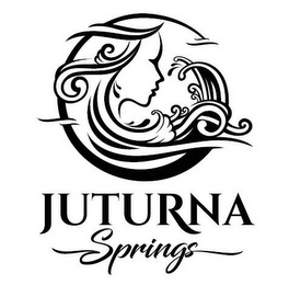 JUTURNA SPRINGS logo