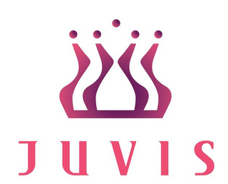 JUVIS logo