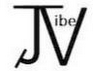 JV IBE logo
