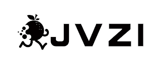JVZI logo