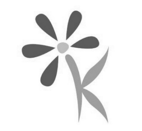 K logo