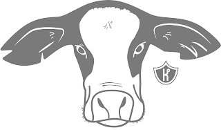 K logo