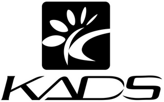 K KADS logo