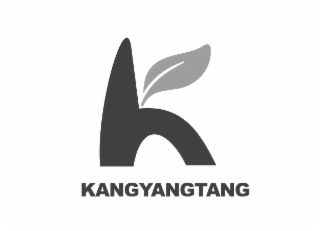 K KANGYANGTANG logo