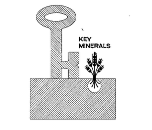 K KEY MINERALS logo