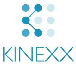 K KINEXX logo