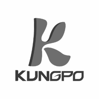 K KUNGPO logo