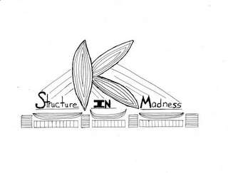 K STRUCTURE IN MADNESS logo