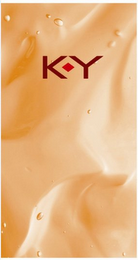 K-Y logo